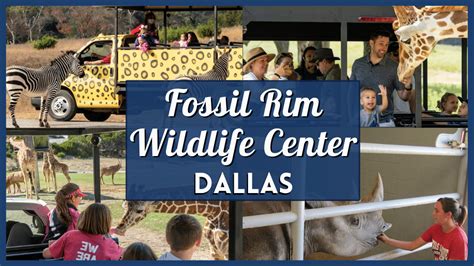 fossil rim discount tickets.